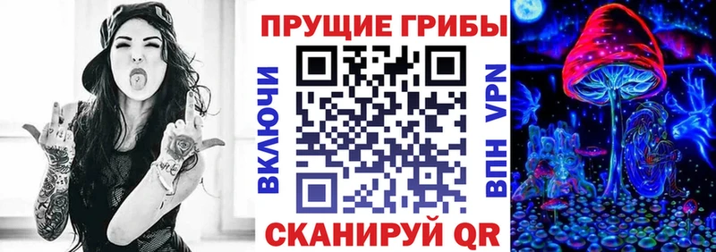 закладки Балтийск Псилоцибиновые грибы Magic Shrooms